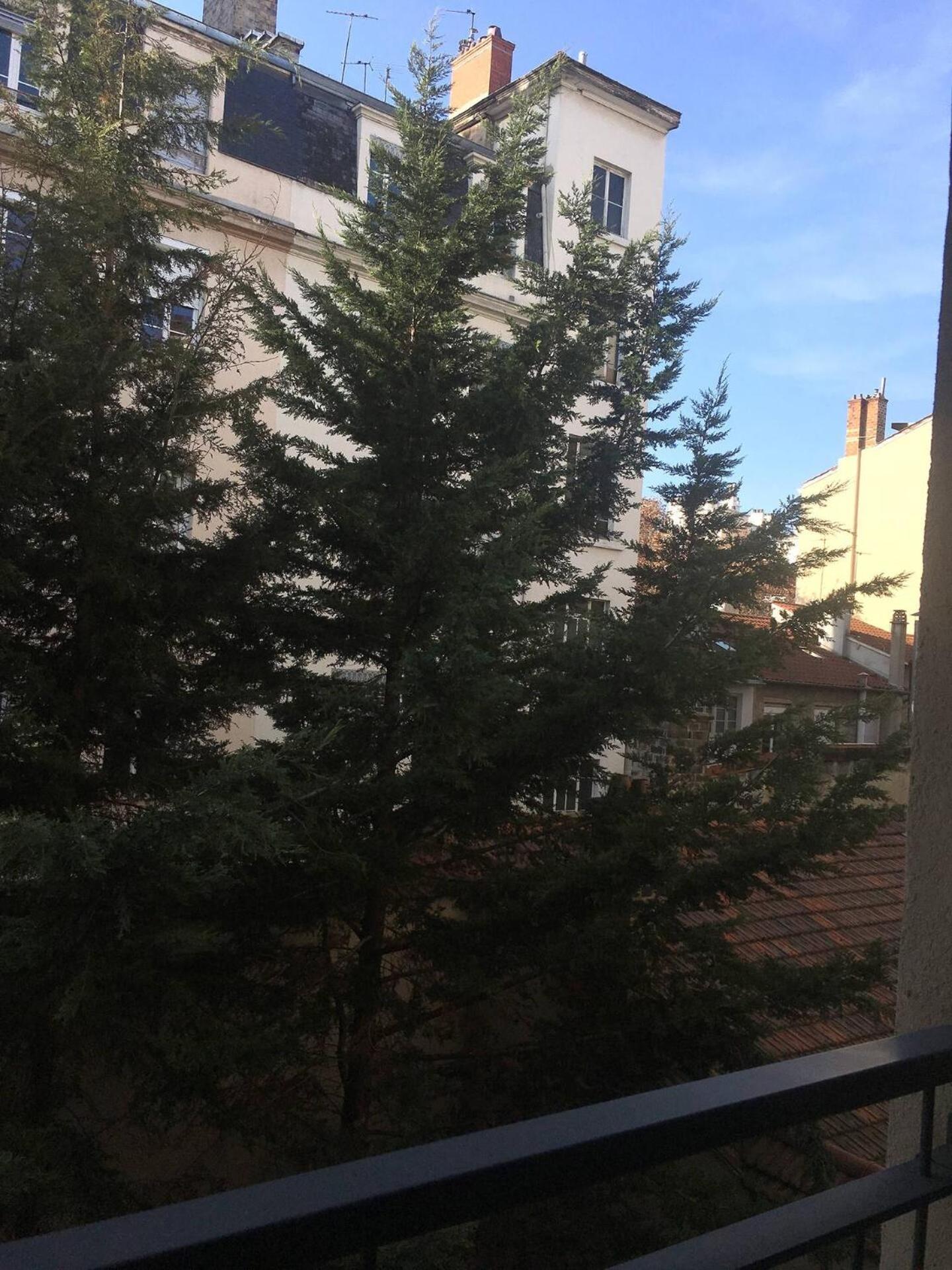 Le Vendome - Shared Appartment リヨン エクステリア 写真